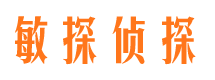 贡井侦探公司